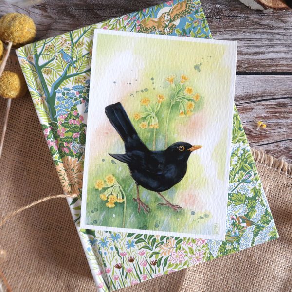 affiche aquarelle merle noir et primevère