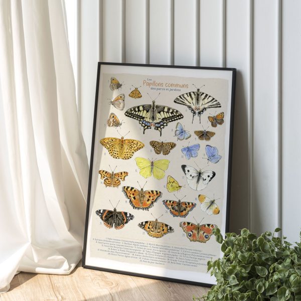 affiche naturaliste papillons communs des parcs et jardins