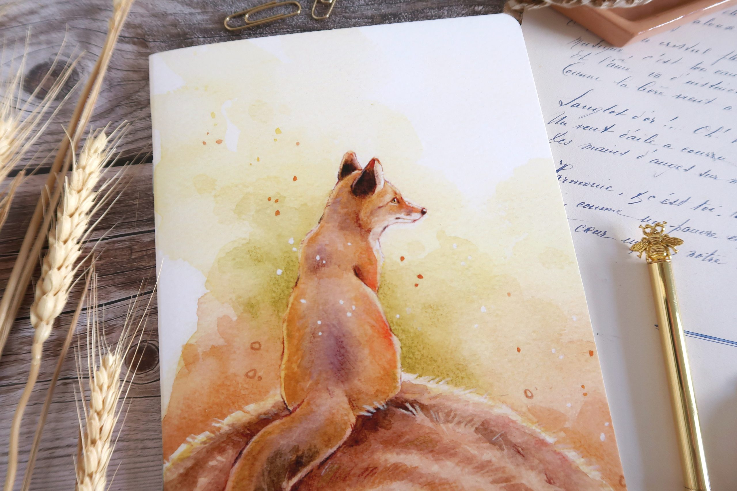 Carnet | Renard roux en été – Image 3