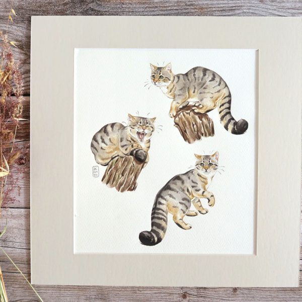 aquarelle originale de 3 chats sauvages