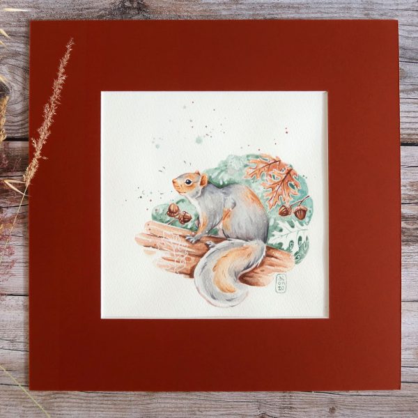aquarelle originale d'un écureuil gris