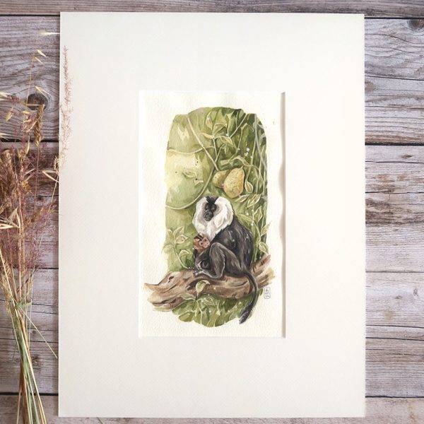 aquarelle originale d'un macaque à queue de lion avec son petit