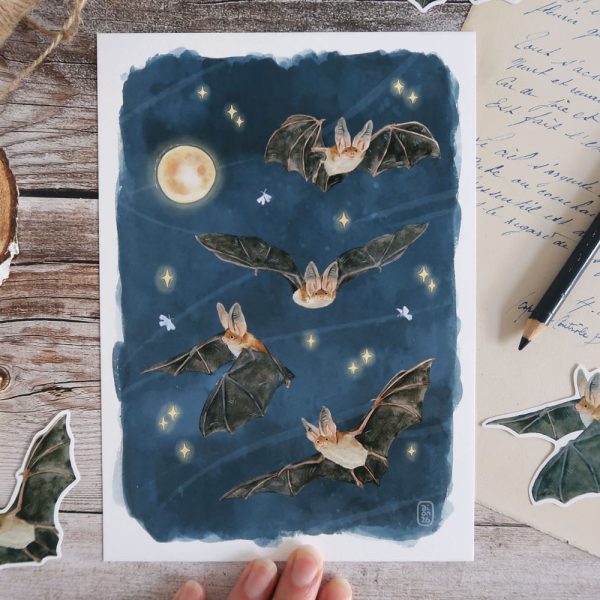 affiche motif chauves-souris dans un ciel étoilé et pleine lune