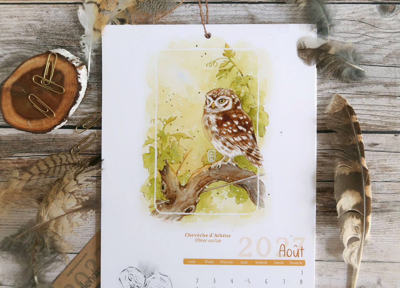 calendrier 2027 illustré à l'aquarelle Chouettes et Hiboux