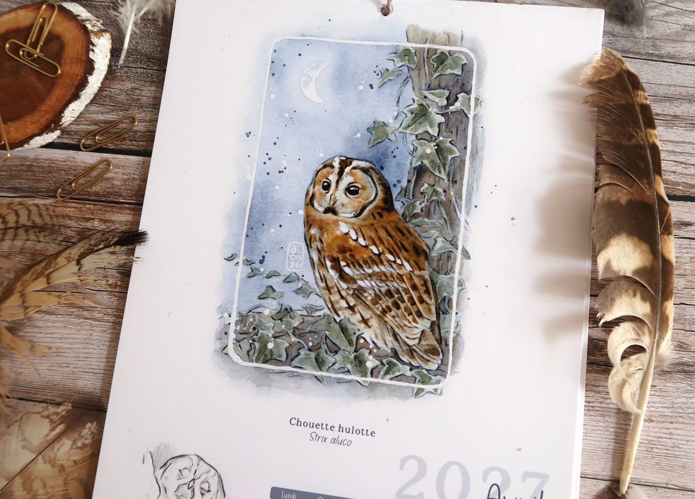 calendrier 2027 illustré à l'aquarelle Chouettes et Hiboux
