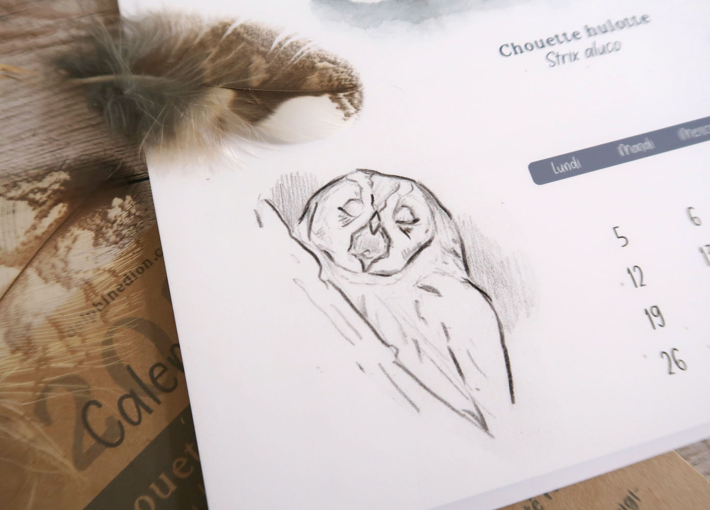 calendrier 2027 illustré à l'aquarelle Chouettes et Hiboux