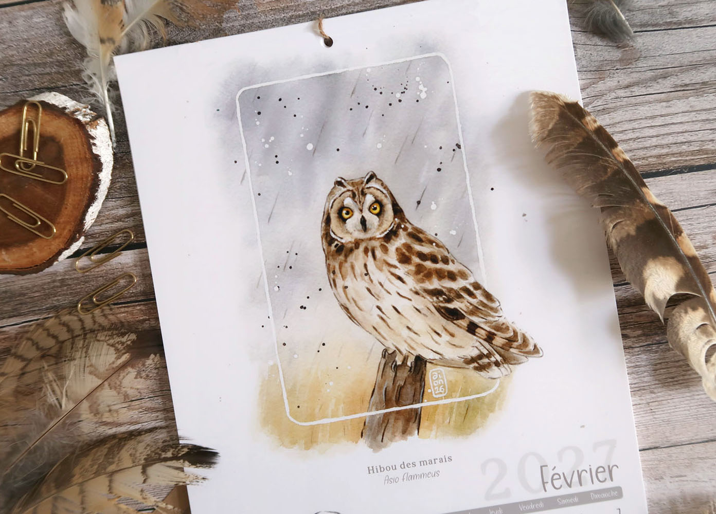 calendrier 2027 illustré à l'aquarelle Chouettes et Hiboux