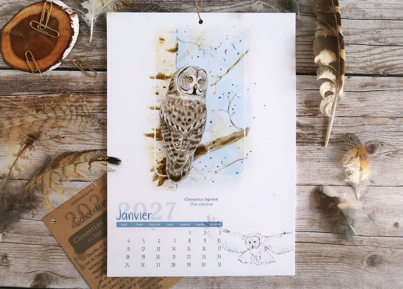 calendrier 2027 illustré à l'aquarelle Chouettes et Hiboux