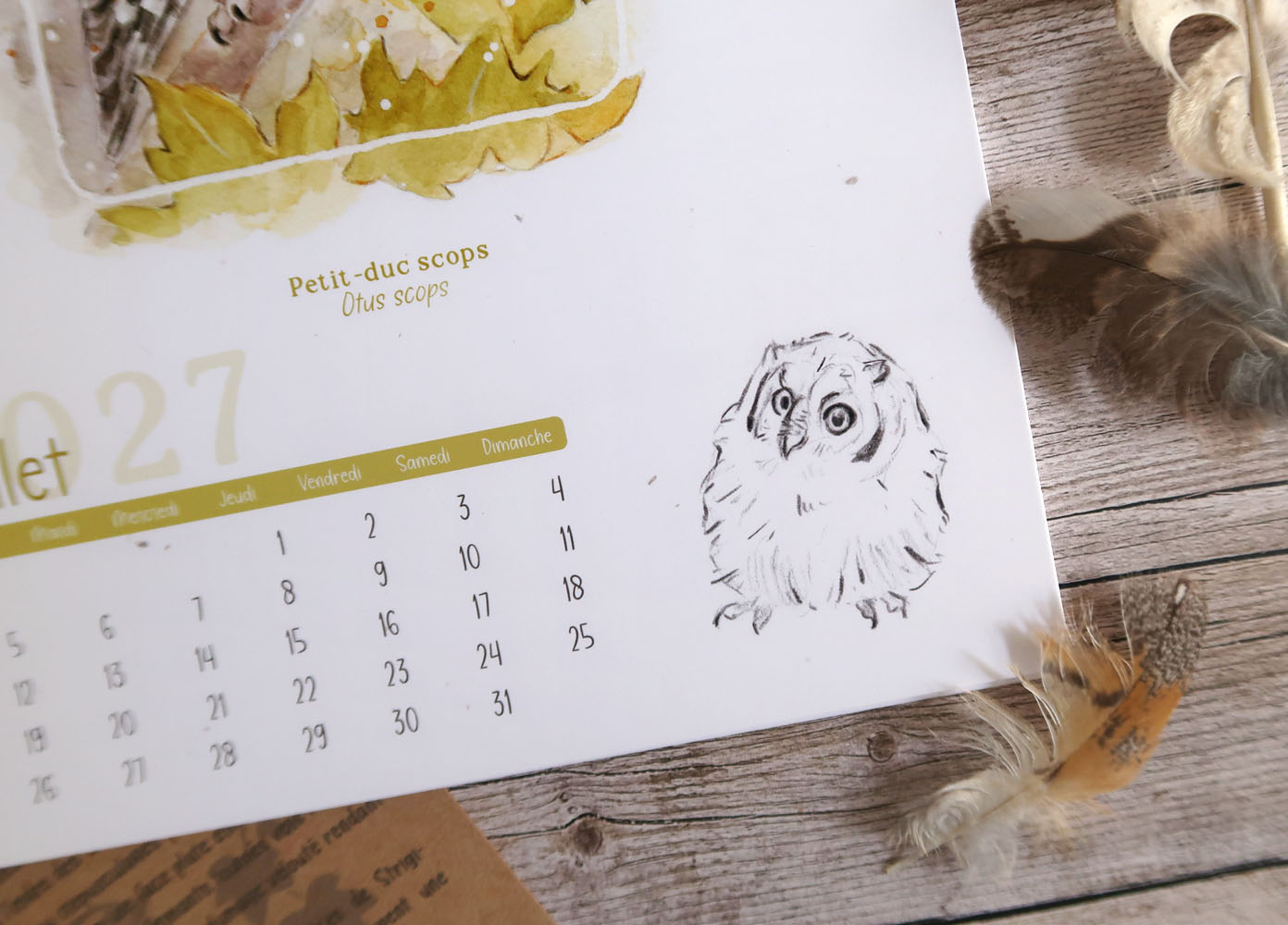 calendrier 2027 illustré à l'aquarelle Chouettes et Hiboux