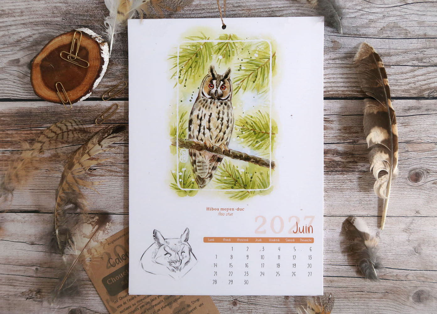 calendrier 2027 illustré à l'aquarelle Chouettes et Hiboux