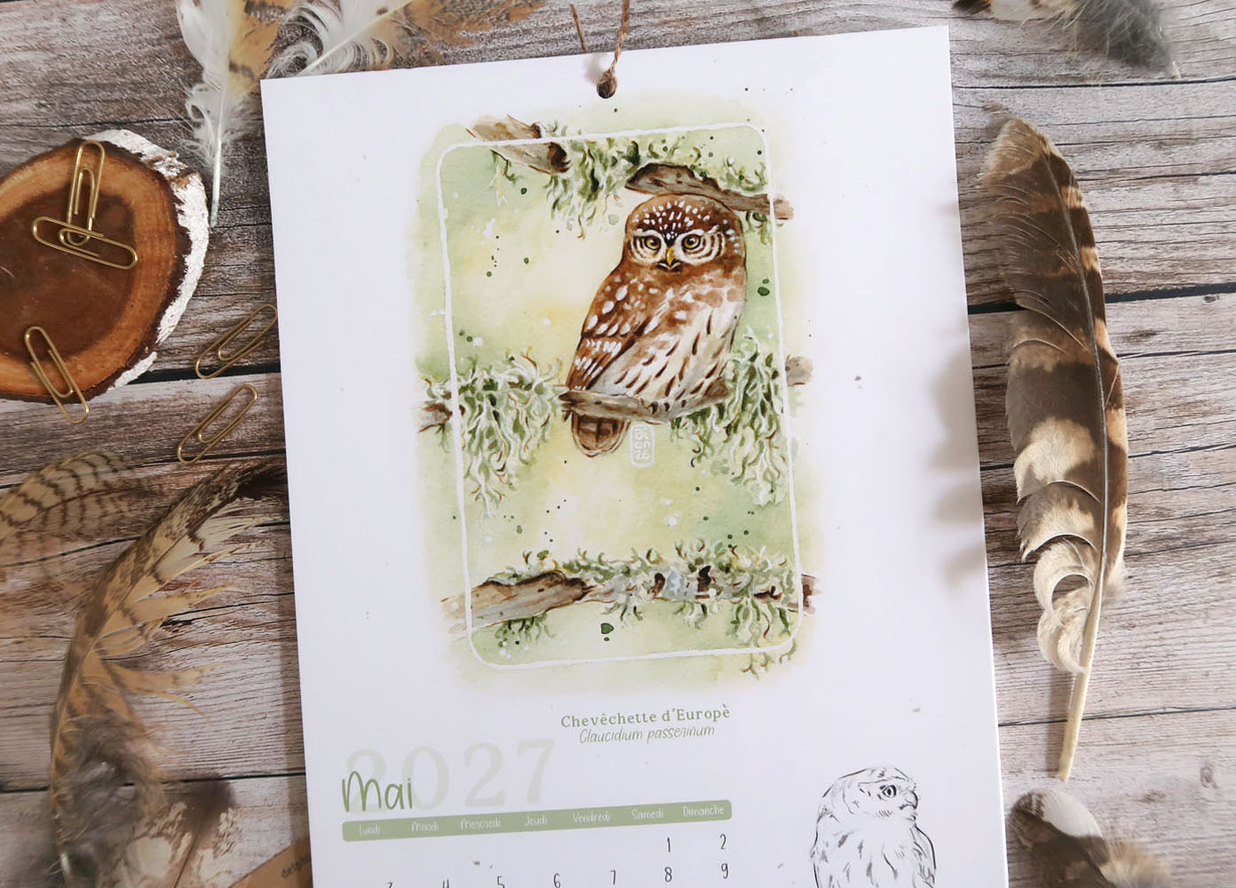 calendrier 2027 illustré à l'aquarelle Chouettes et Hiboux