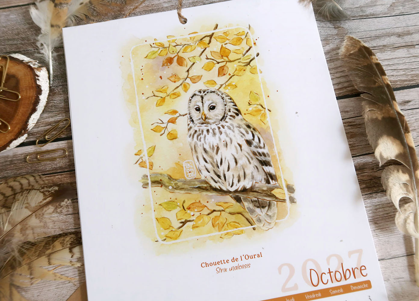 calendrier 2027 illustré à l'aquarelle Chouettes et Hiboux