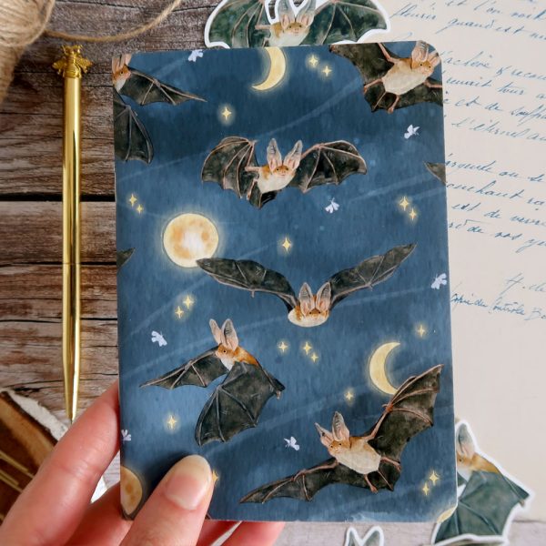 Carnet | Chauves-souris et ciel étoilé