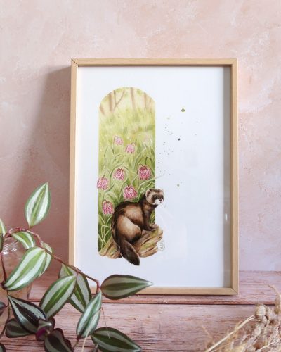 affiche reproduction d'aquarelle putois au printemps avec fritillaires pintades
