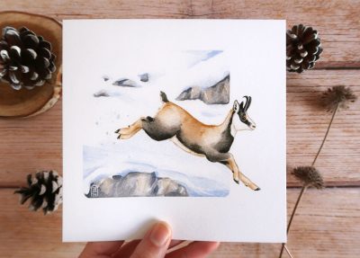 petite affiche illustration aquarelle isard des pyrenees